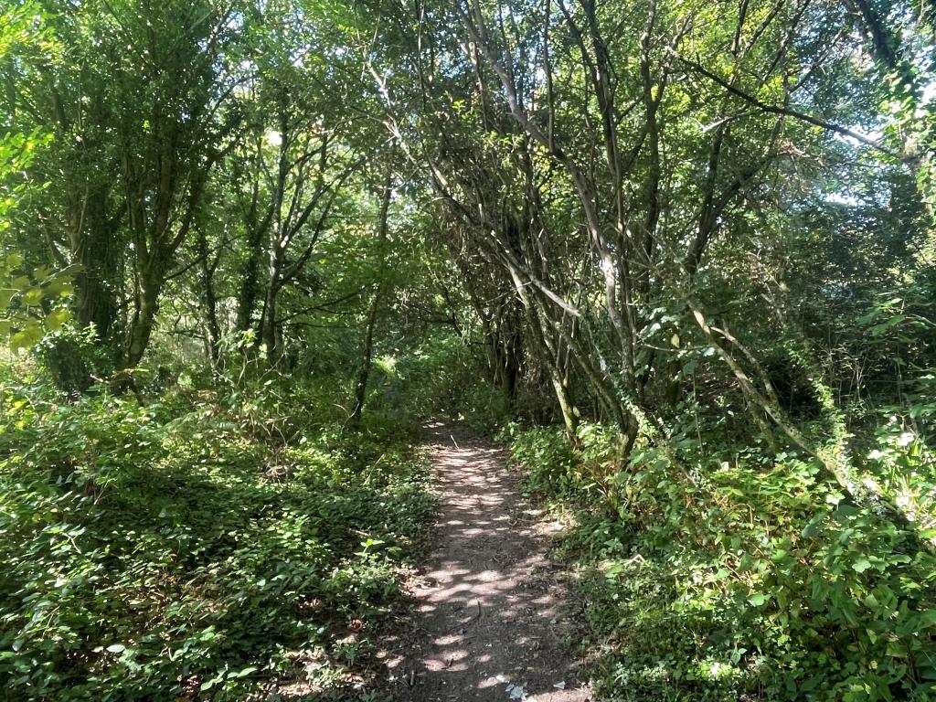Lot: 117 - FREEHOLD LAND - Woodland with footpath